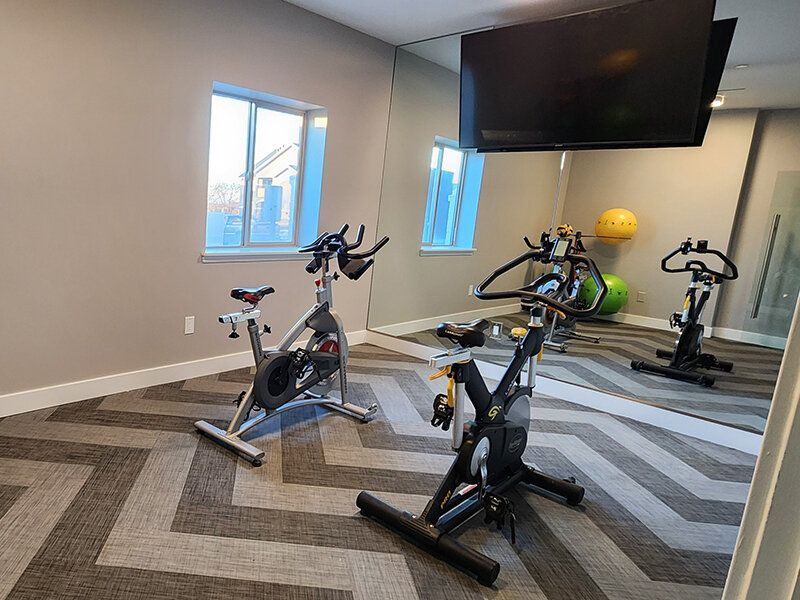Home gym with two stationary bikes, a wall-mounted TV, windows, and striped carpet.