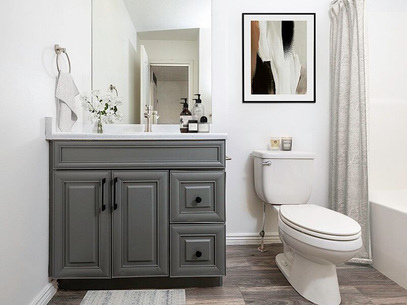 Modern bathroom with gray vanity, white toilet, mirror, and framed wall art