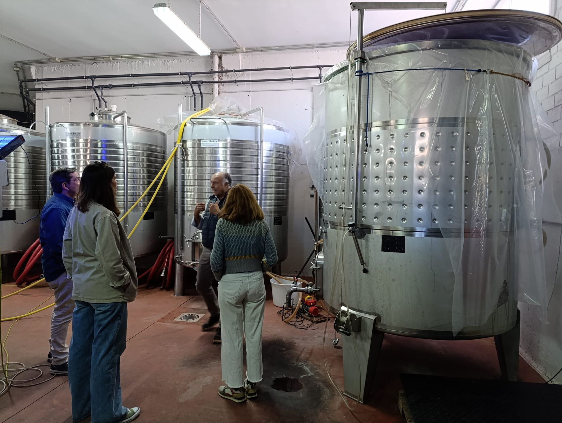 wine tour from madrid