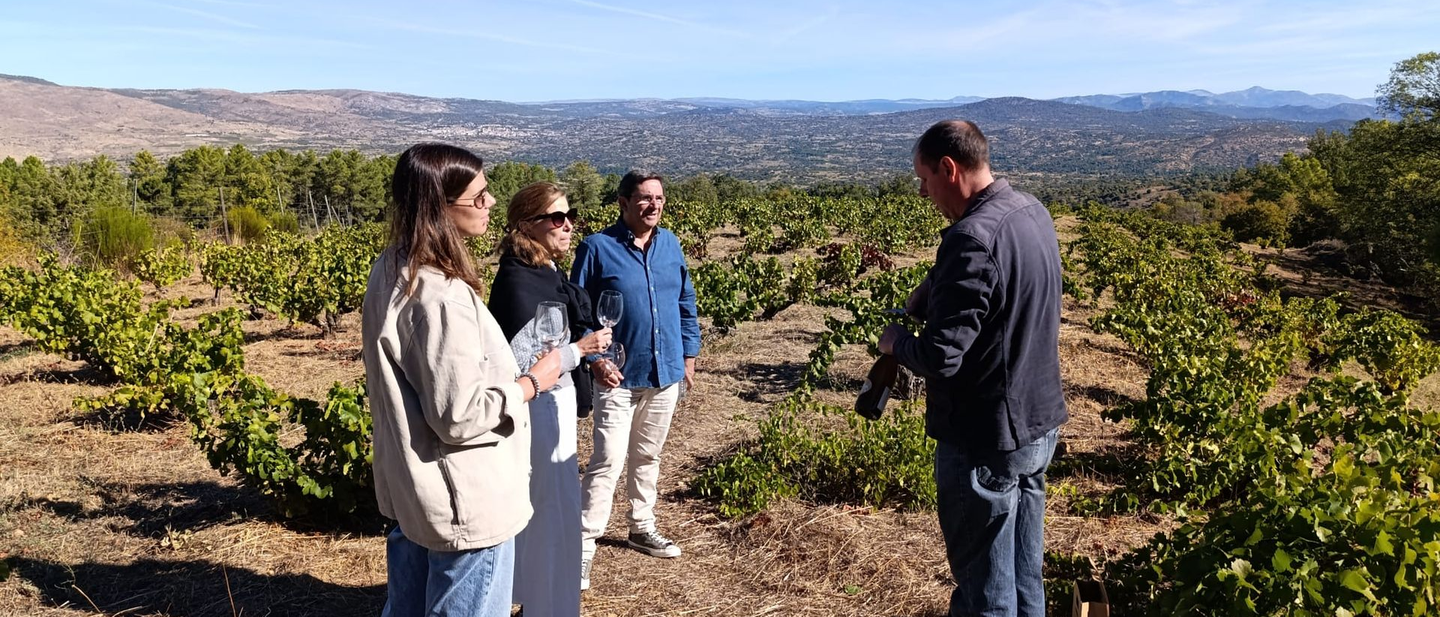 Winetasting in Madrid