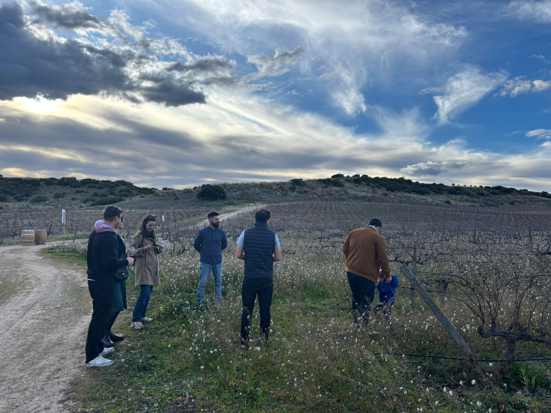 madrid winery visits