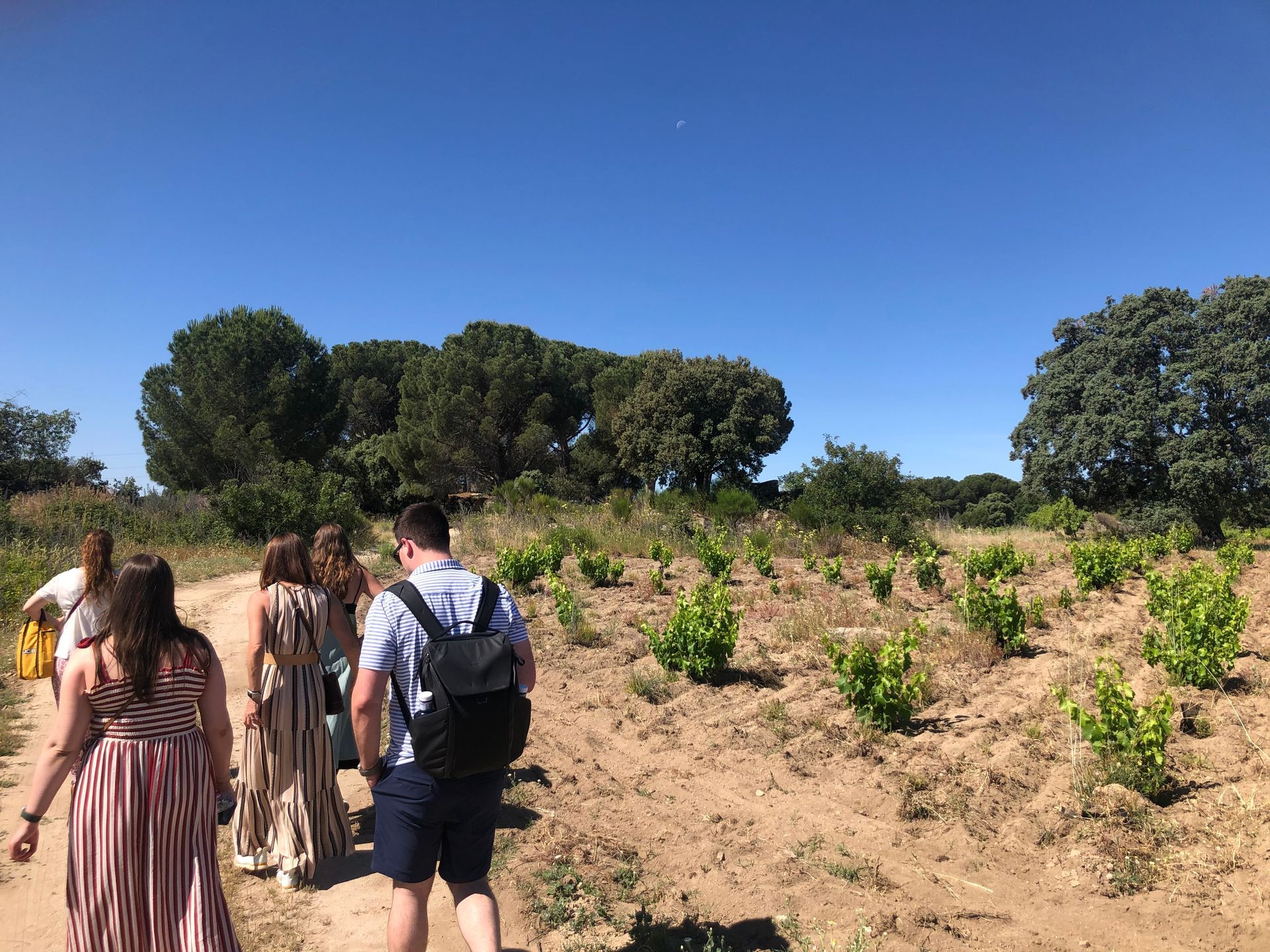 madrid 1 winery tour