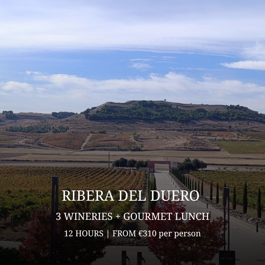 ribera del duero wine tour