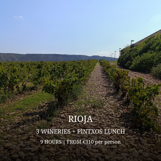 RIOJA WINE TOUR