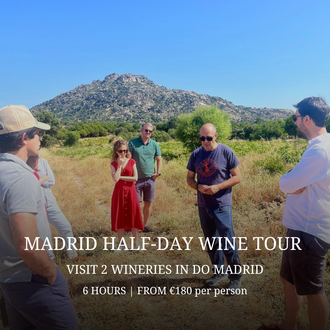 MADRID WINE TOUR