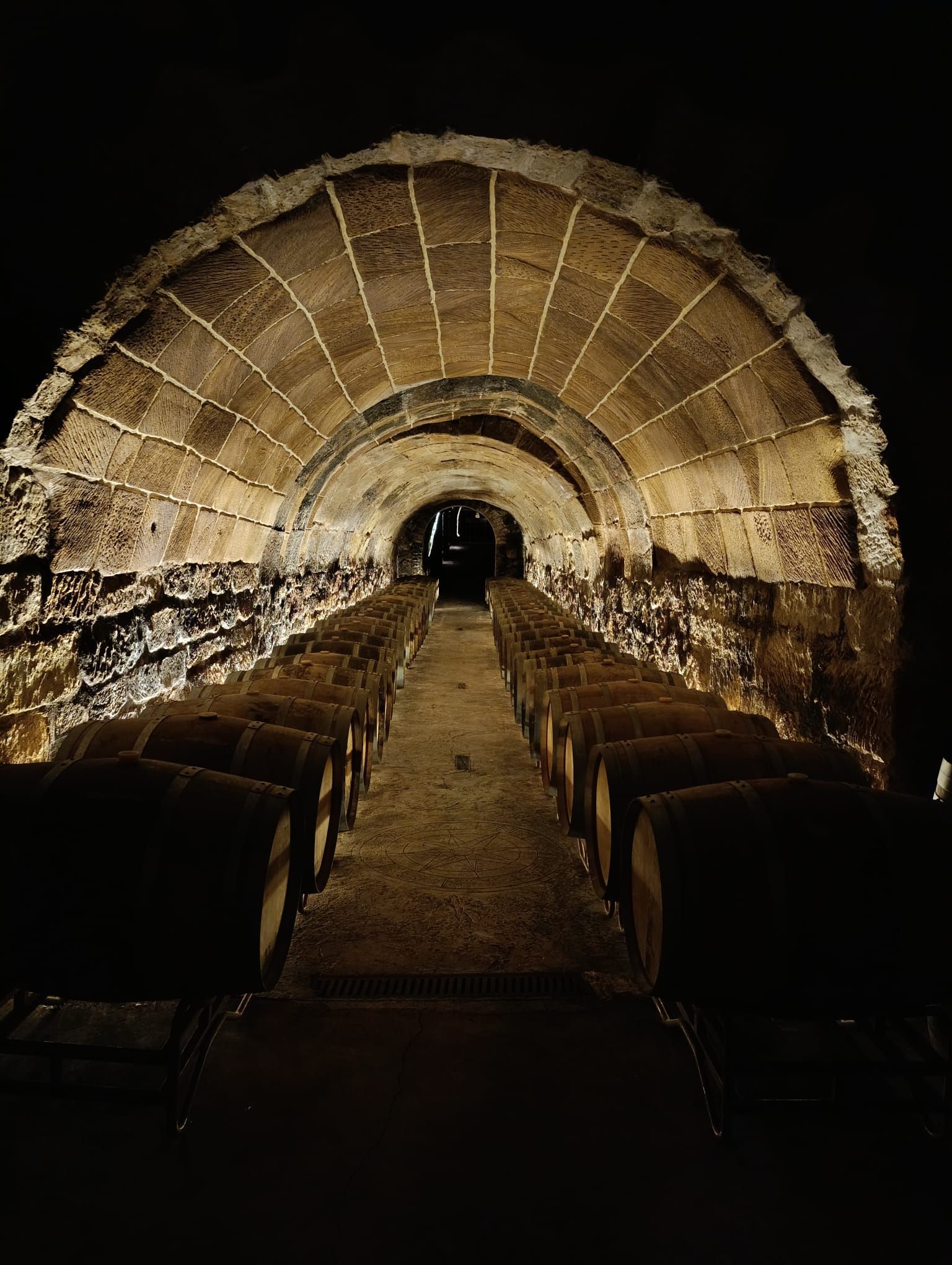 rioja wine cave visit