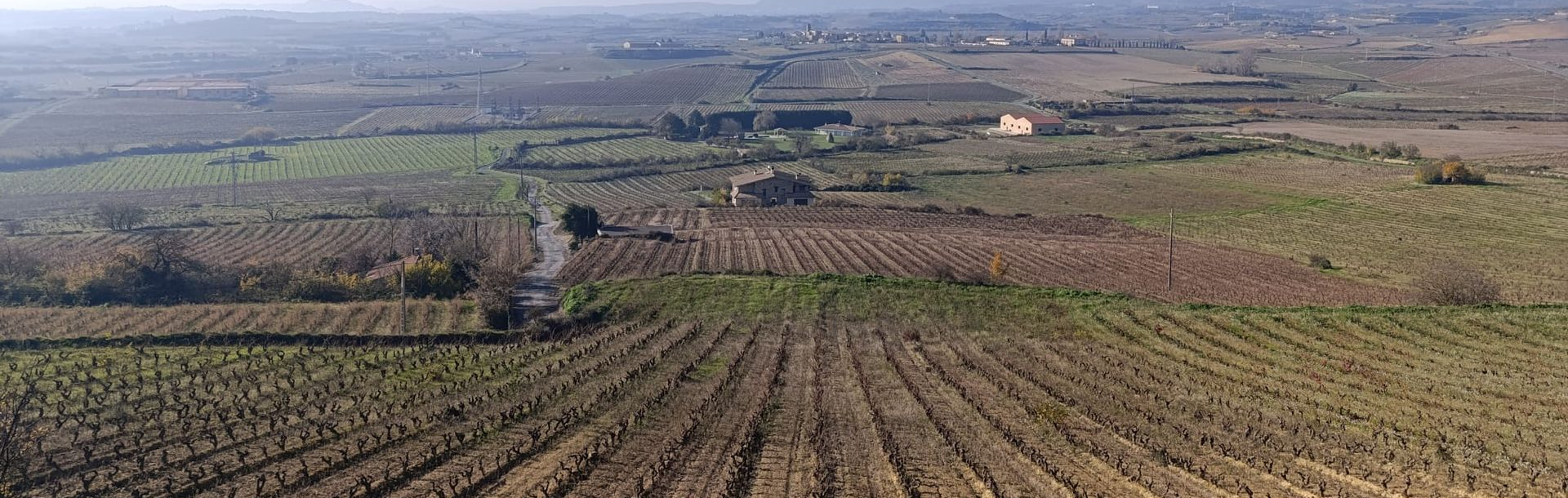 rioja vineyard visit