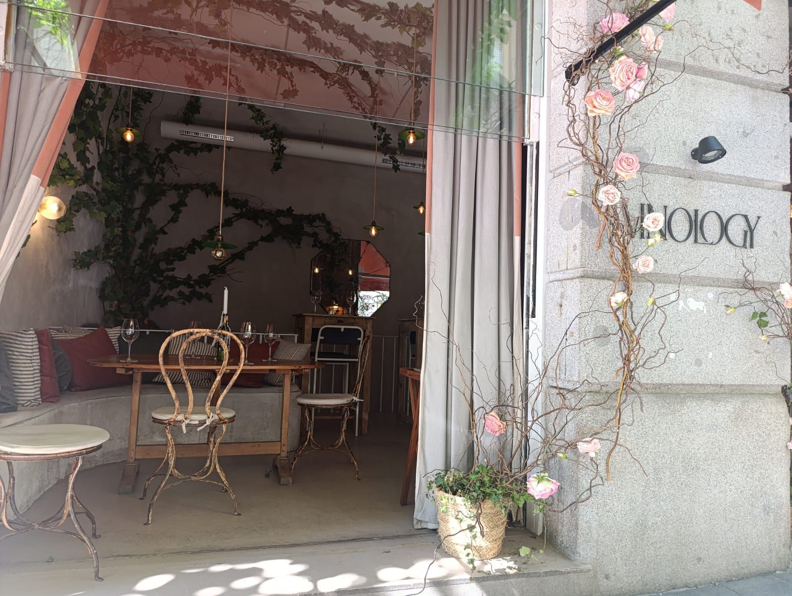 Vinology-Wine-Bar-madrid