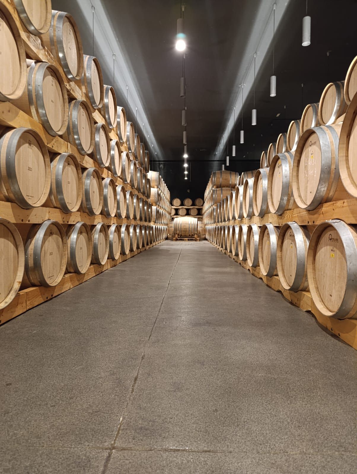 Barrel ageing room in Ribera del Duero