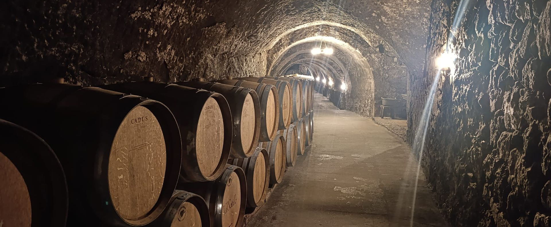 ribera del duero subterranean winery
