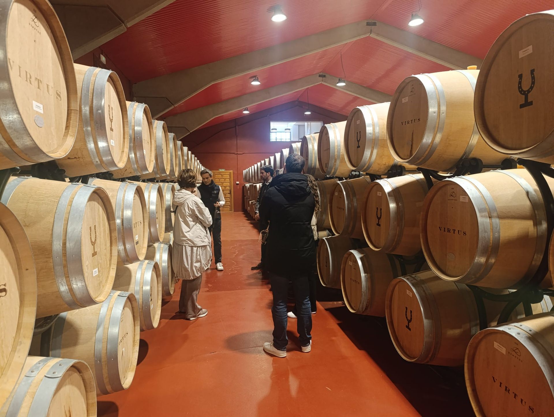 Winery visit in Ribera del Duero
