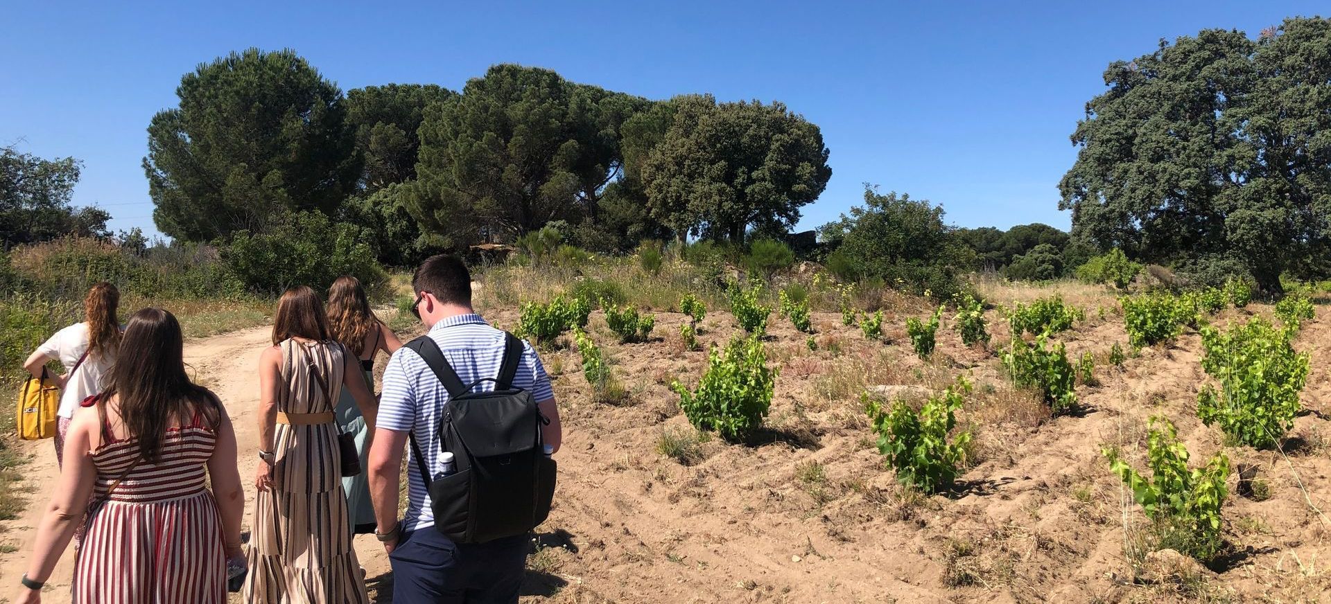 Wine-tour-Gredos