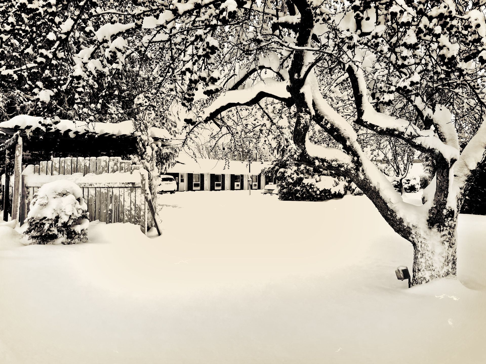 A black and white photo of a snowy yard with a house in the background