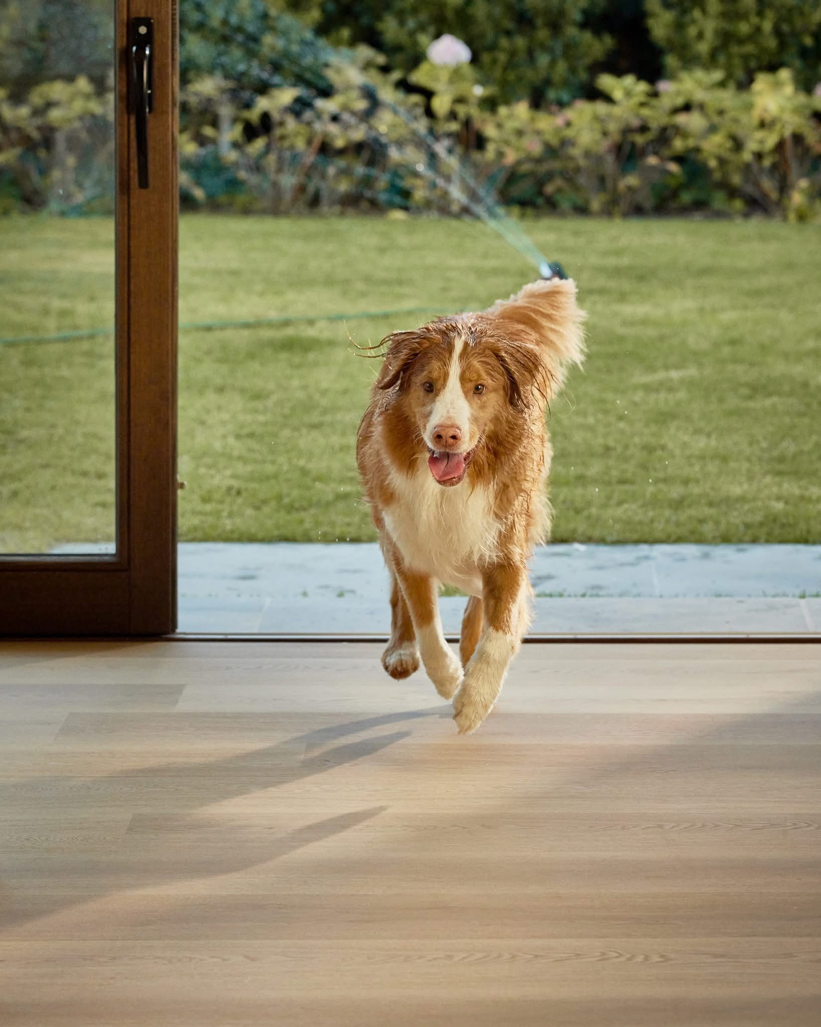 Wooden floored waiting room with large plant box, chairs, and hallway — Kelwin Coastal Carpets In Kundra Park, QLD