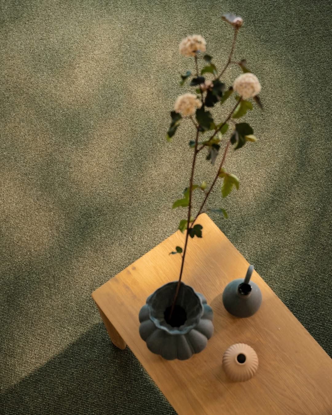 A Close up Of a Rug with A Plant on It — Kelwin Coastal Carpets In Kundra Park, QLD