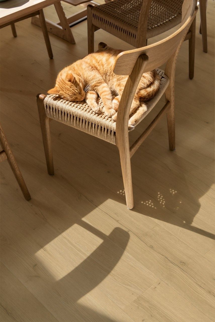 A Kitchen with White Cabinets, Wooden Floors, and Stools — Kelwin Coastal Carpets In Kundra Park, QLD
