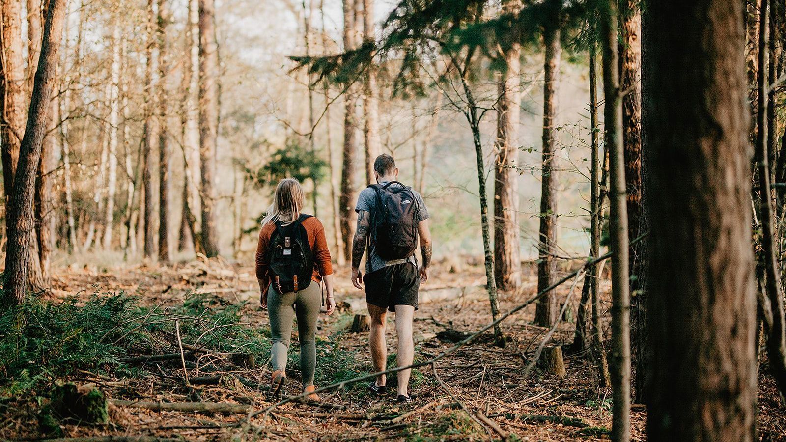 Op de foto wandelen we samen door de natuur, als onderdeel van de Primal Journey. Deze 1-op-1 begeleiding is volledig afgestemd op jouw behoeften en helpt je om te herstellen en je beste zelf weer te ontdekken.