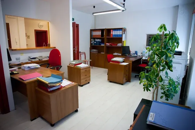 Ufficio con scrivanie in legno, sedie rosse, scaffali e una pianta verde alta in una stanza luminosa.