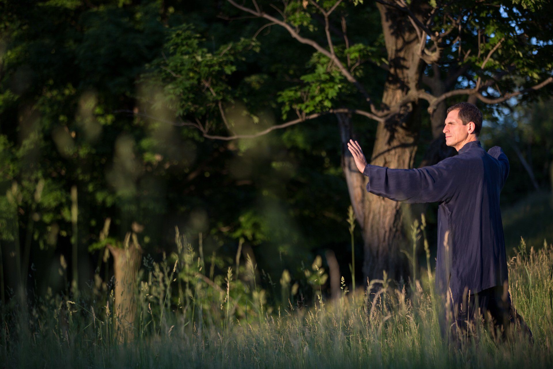 Tai Chi Single Whip posture in the forest.