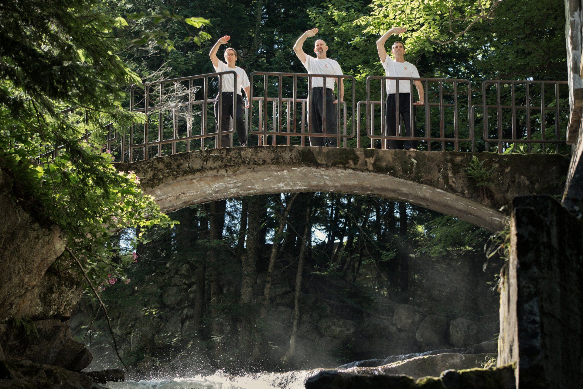 Tai Chi White Crane posture on a bridge.
