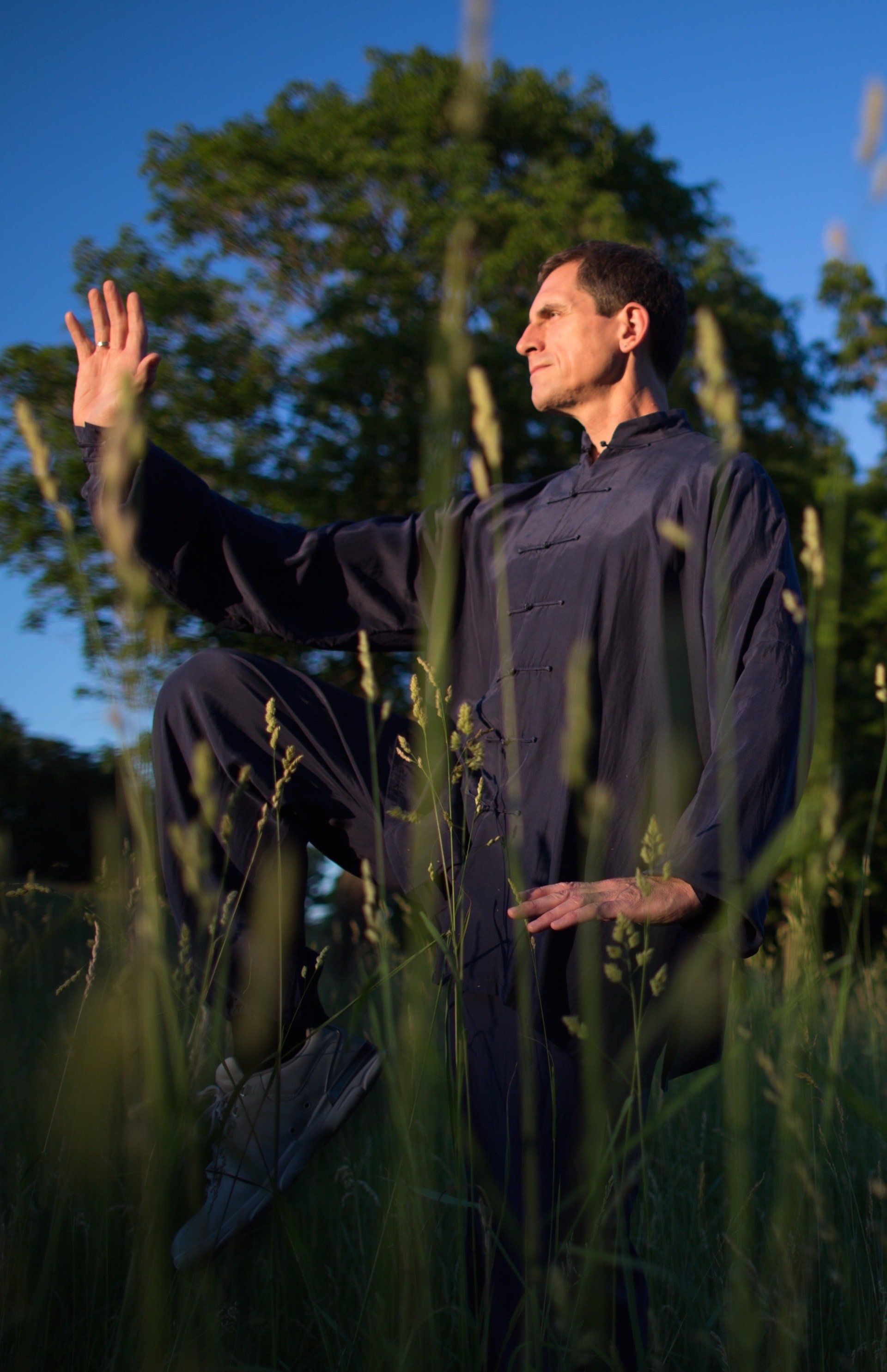 Tai Chi Single Whip posture in the forest.