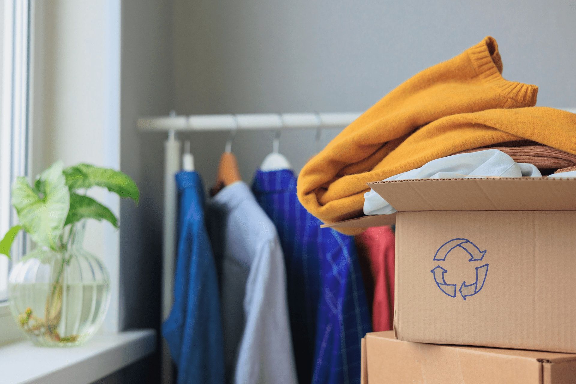 Clothes in a cardboard box with recycling symbol, near a clothing rack and a window with a plant.