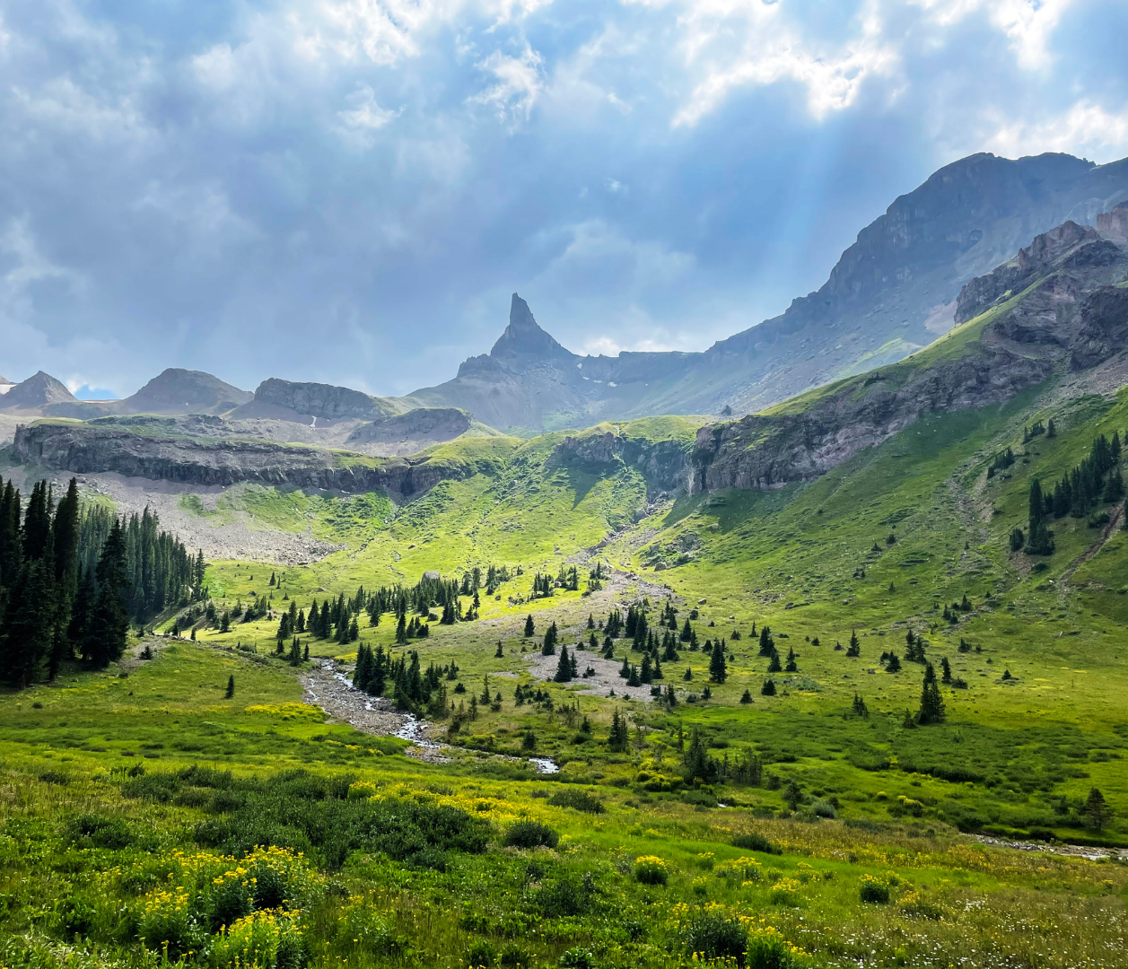 There is a mountain in the background and a grassy field in the foreground.
