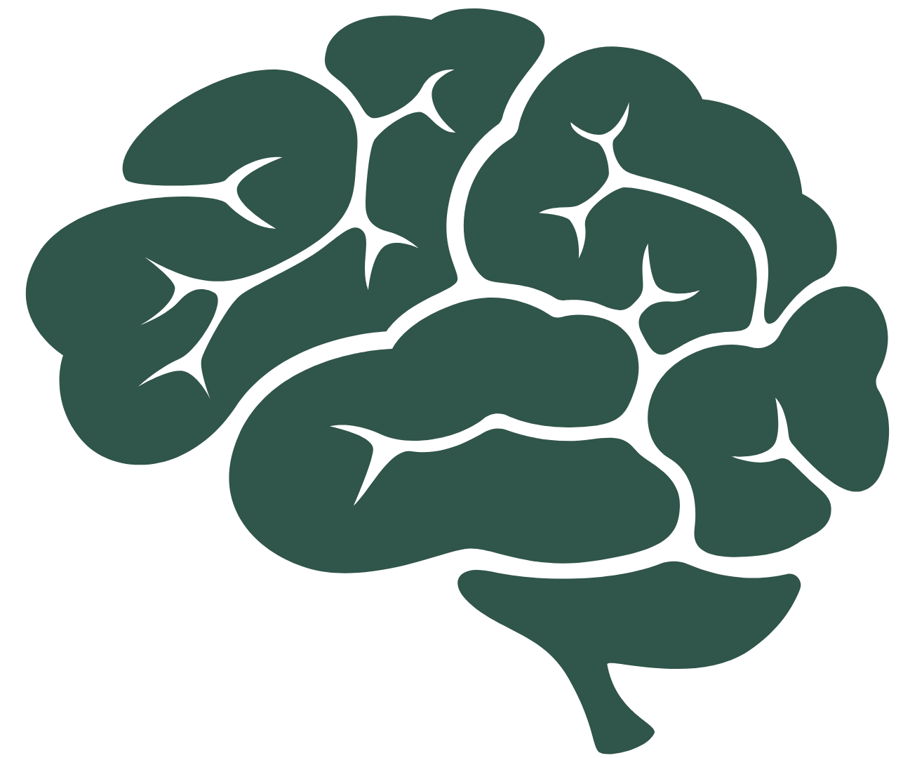 A green silhouette of a human brain on a white background.