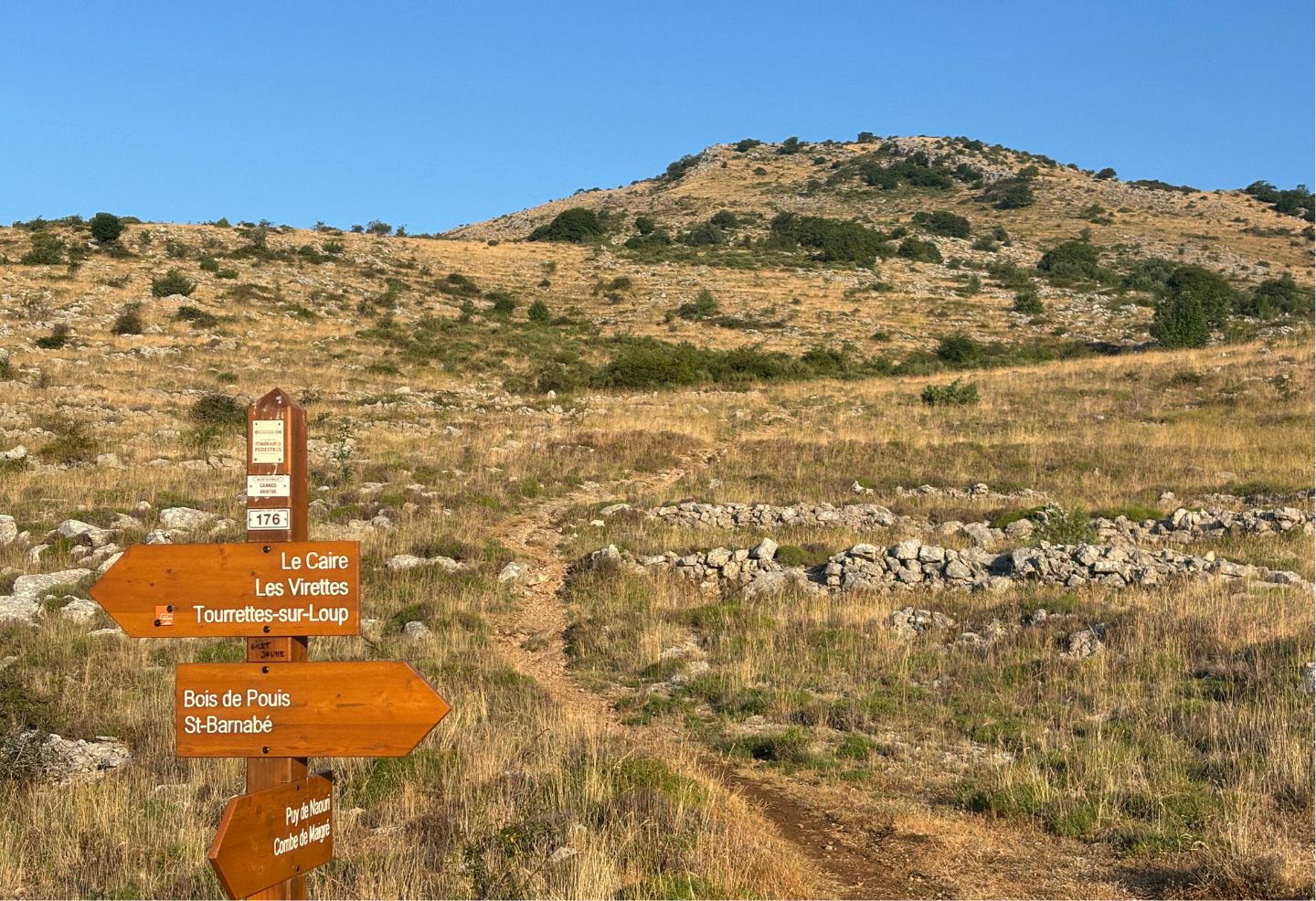 A couple of people standing on top of a grassy hill.