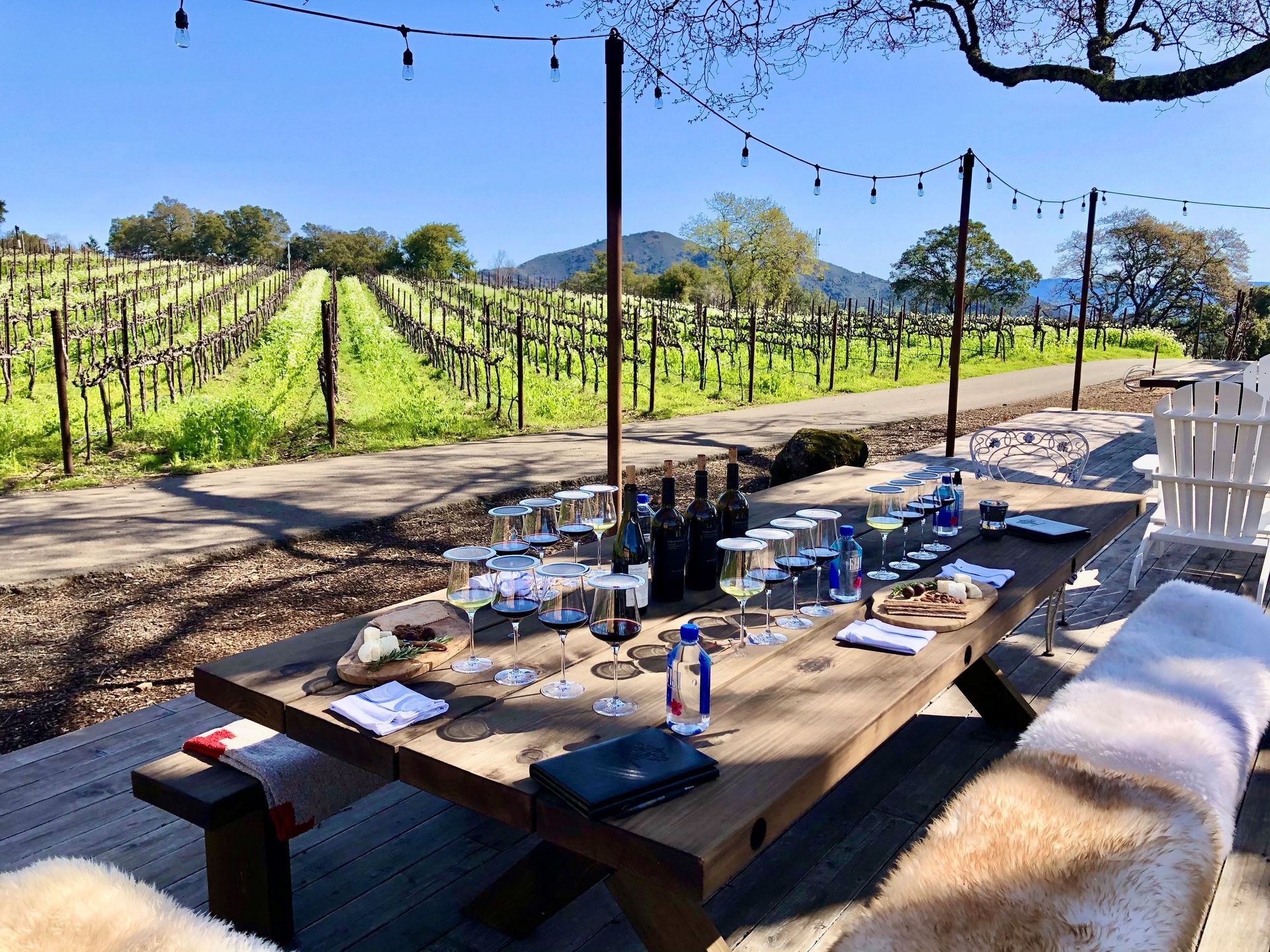 Picnic table set for a wine tasting in a vineyard with rows of grapevines under a sunny sky.