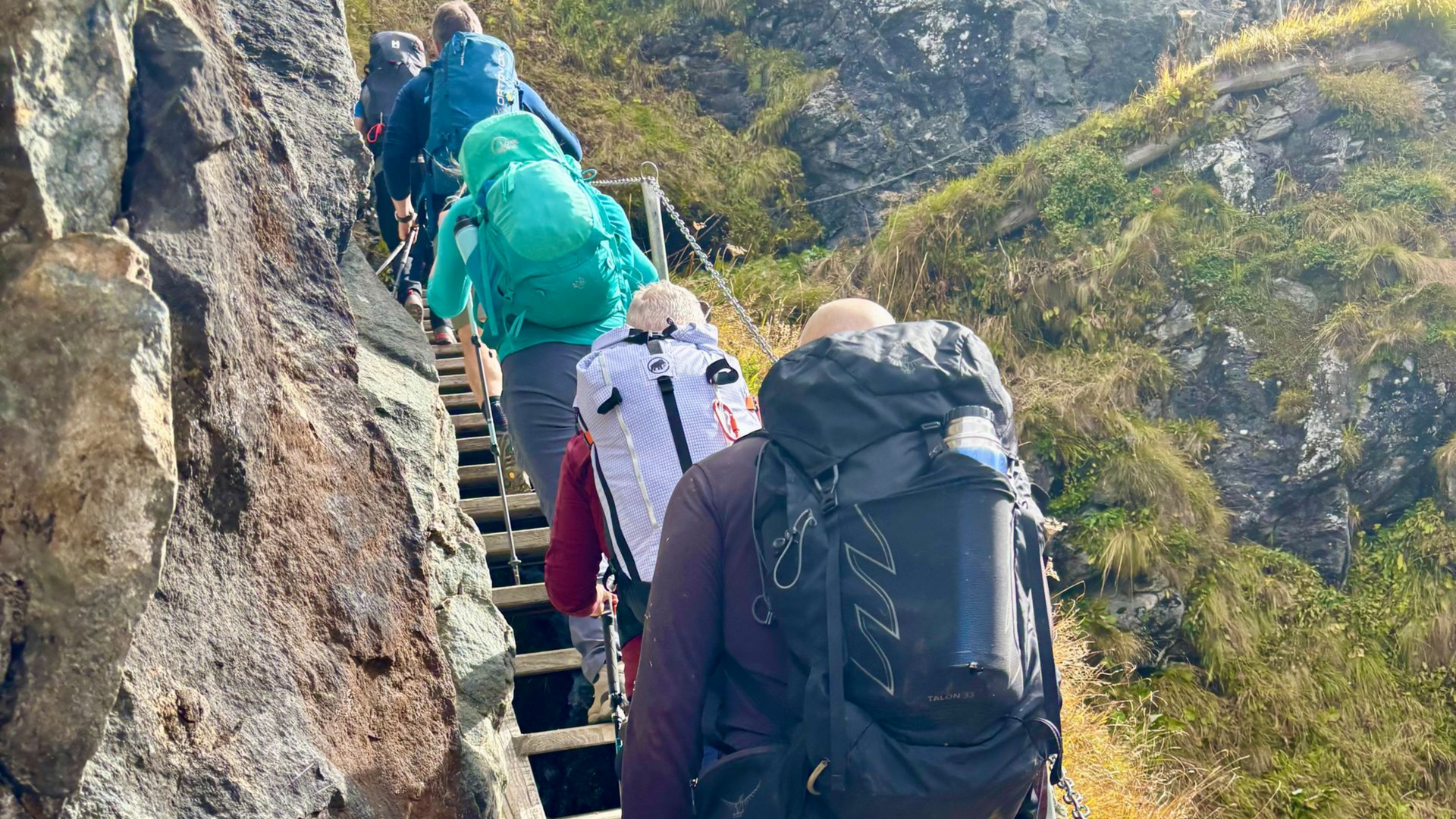 A group of business people are having a meeting in an office.