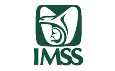 CONSE SEGURIDAD INDUSTRIAL - IMSS