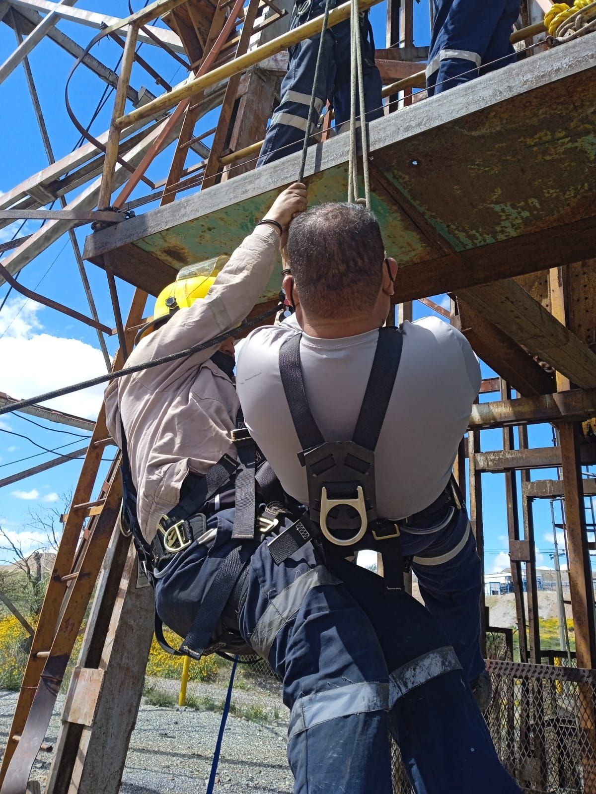 CONSE SEGURIDAD INDUSTRIAL