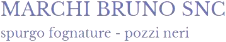 Logo Marchi Bruno- impresa di pulizie