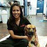 Erin Noe – Port Orange, FL – Veterinary Emergency Center of East Volusia