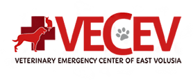 Veterinary Emergency Center of East Volusia