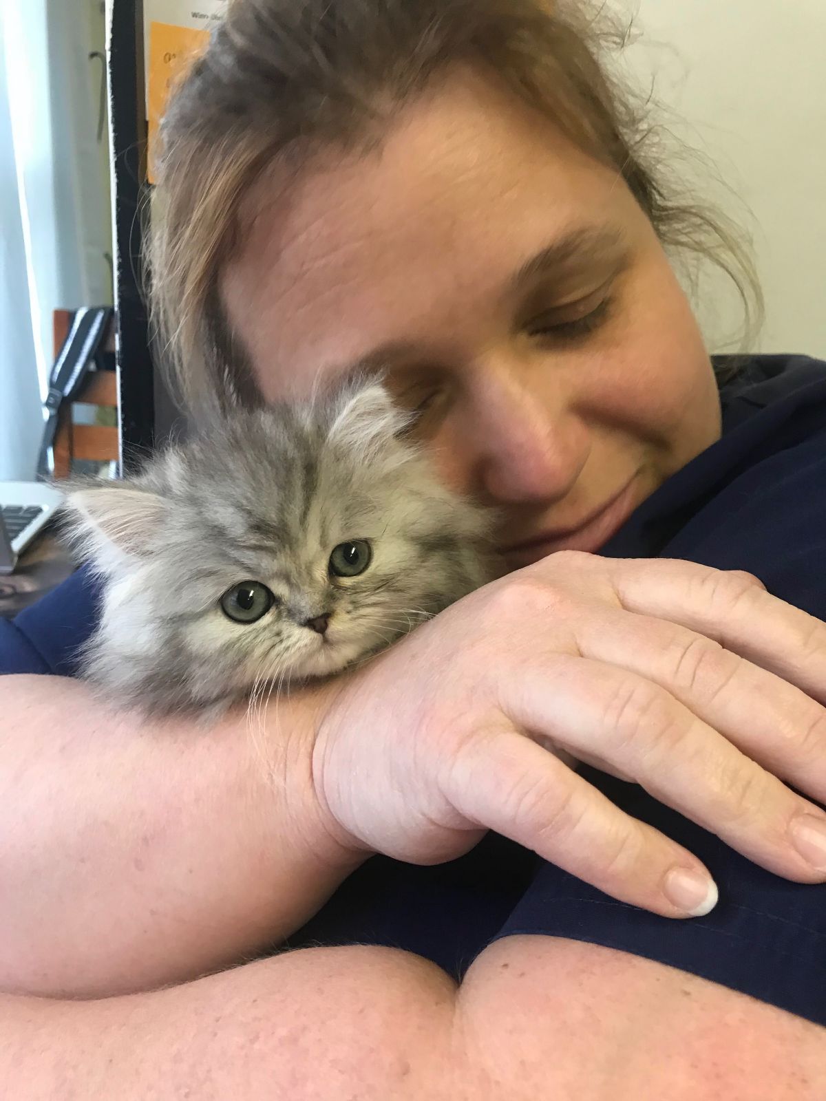Emergency Vet – Port Orange, FL – Veterinary Emergency Center of East Volusia