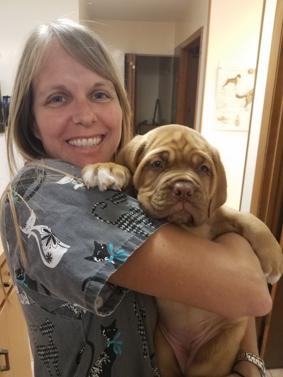 Overnight Vet – Port Orange, FL – Veterinary Emergency Center of East Volusia