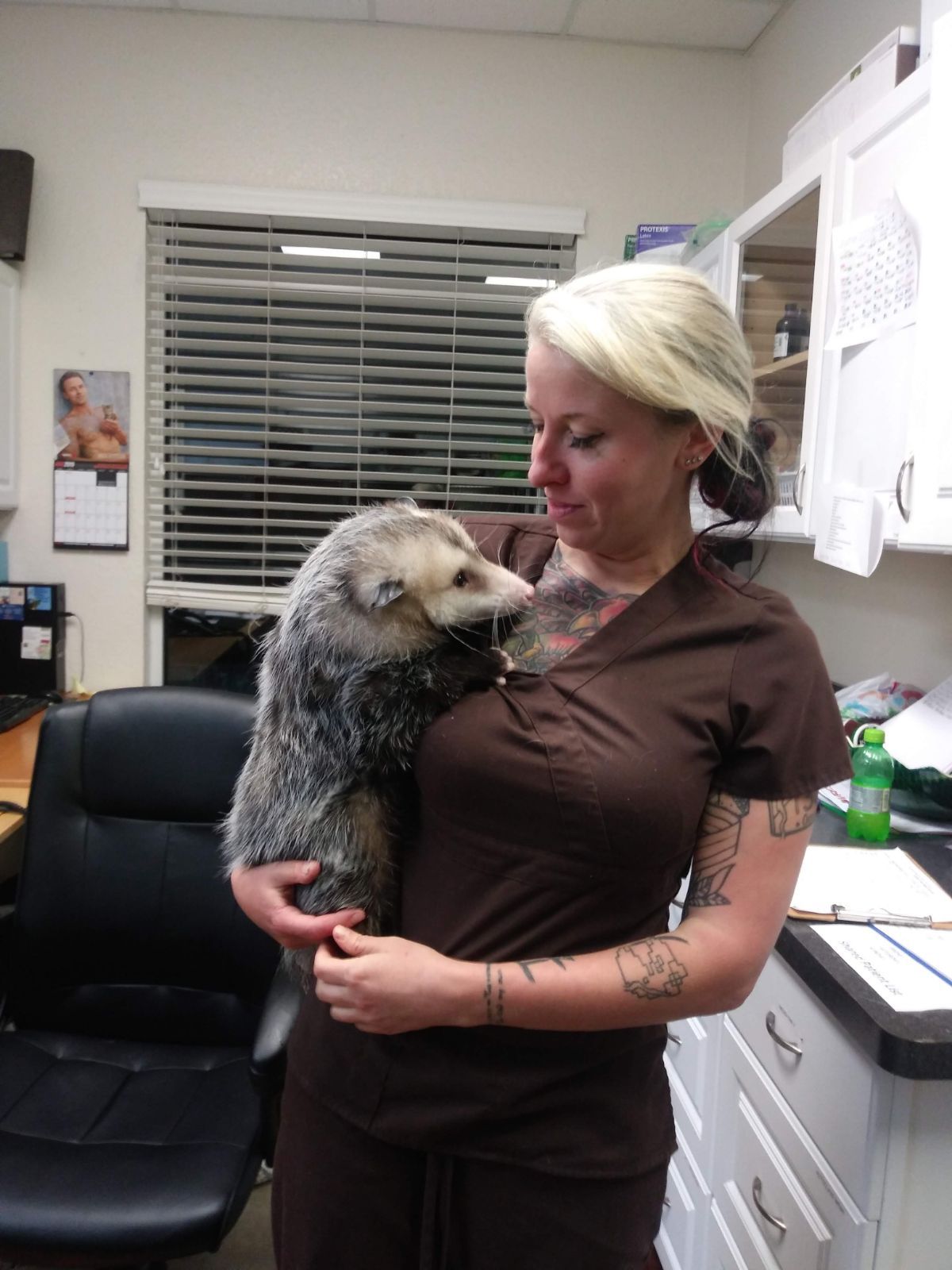 Pet Emergency – Port Orange, FL – Veterinary Emergency Center of East Volusia