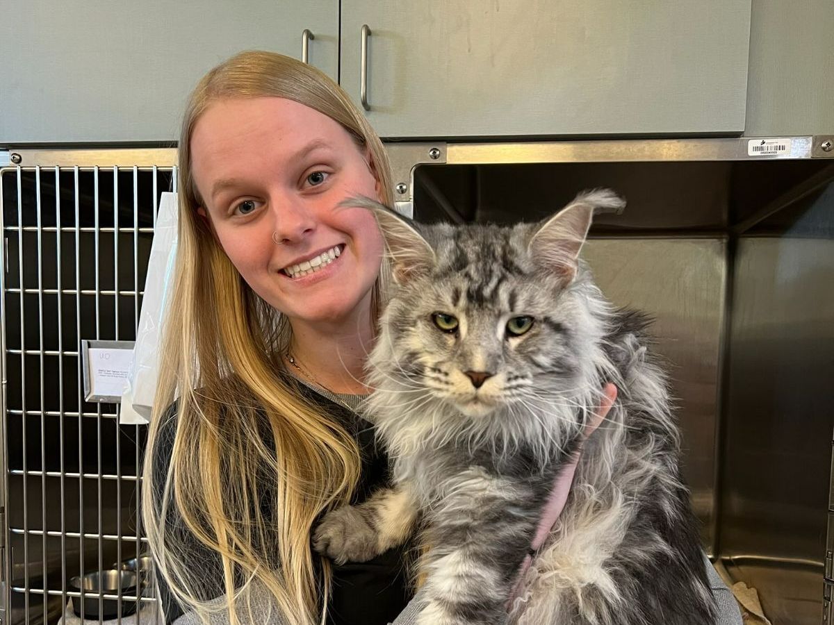 Vet Emergency – Port Orange, FL – Veterinary Emergency Center of East Volusia