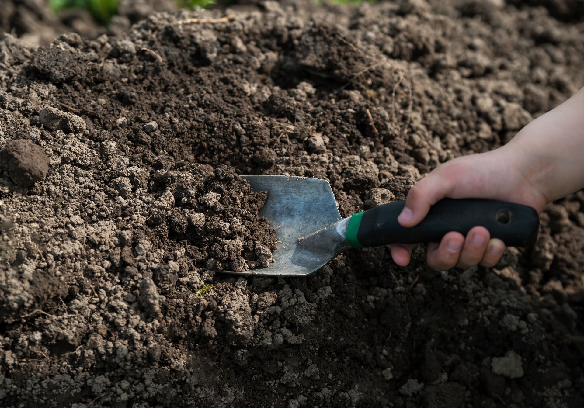 Digging Soil With Small Shovel