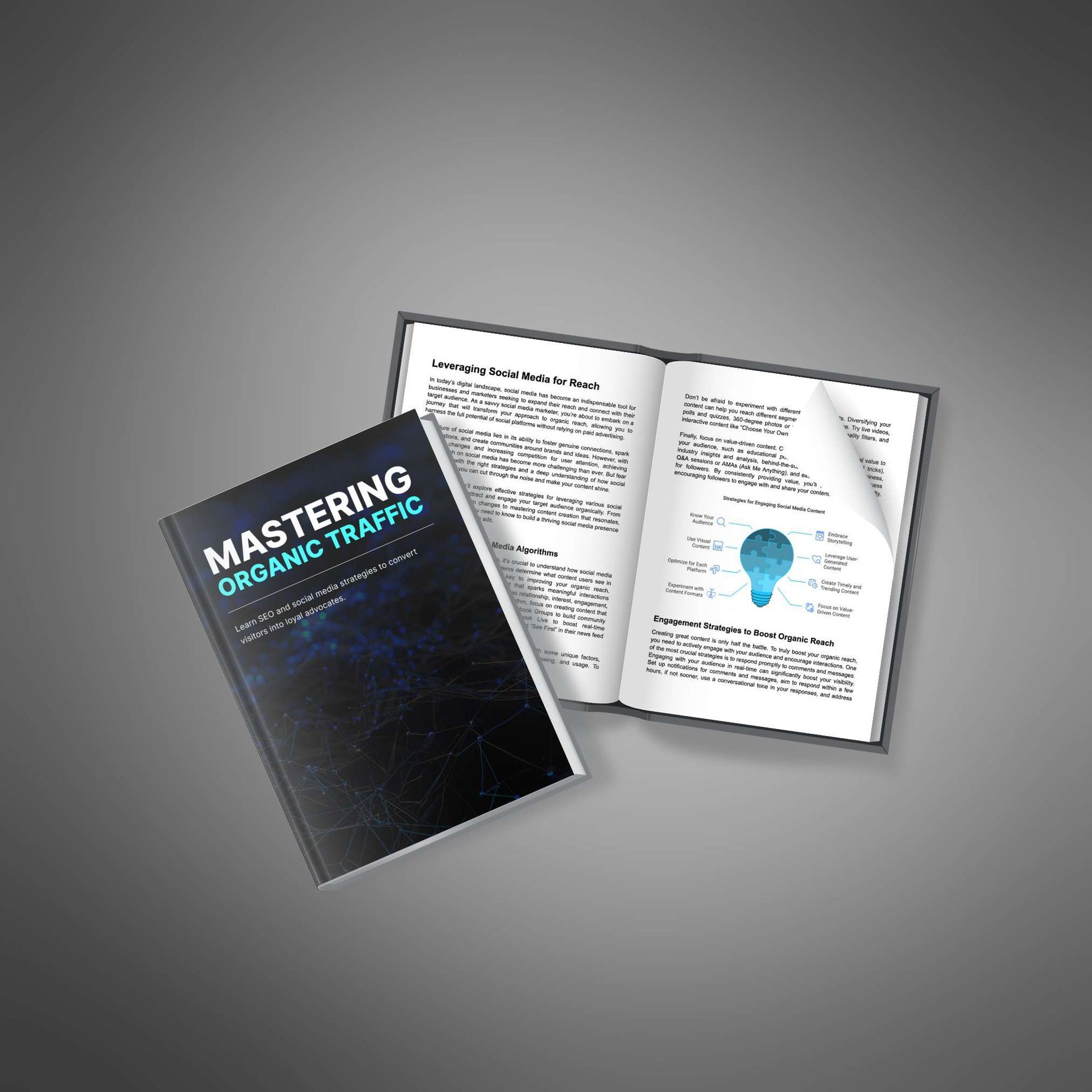 A book titled mastering organic traffic is open to a page with a light bulb on it.