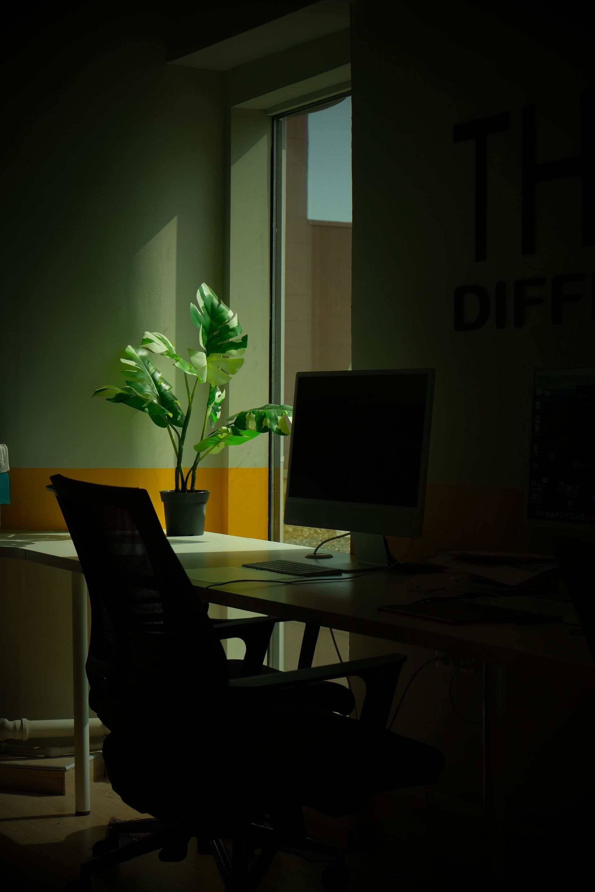 Dim office with desk, black chair, potted plant, and sunlight through a window.