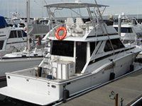 Custom Hard Top and Swim Step