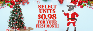 Holiday promotion: A Santa-dressed goat offers select units for $0.98 for the first month, next to a Christmas tree and decorations.