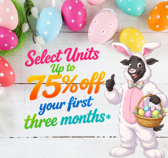 All Purpose Storage ad: a goat racer gives a thumbs-up next to text offering up to 75% off for three months.