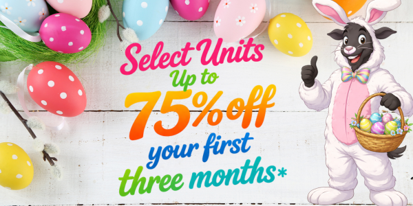 All Purpose Storage ad: a goat racer gives a thumbs-up next to text offering up to 75% off for three months.