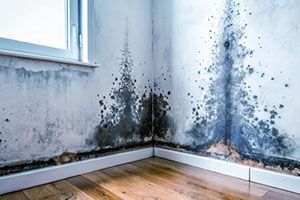Disaster Restoration Services in St. Charles