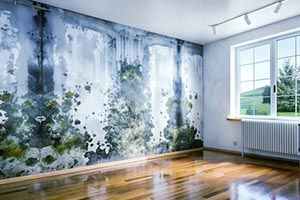 A room with a lot of mold on the walls and a window.