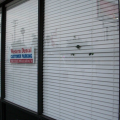 Vehicle Tinting Services — La Habra, CA — Sunshield Window Industries